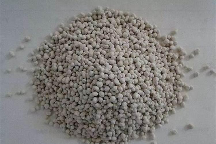 地瓜叶怎么种植方法