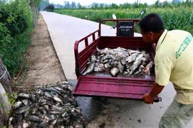 低钾低氯性碱中毒原因