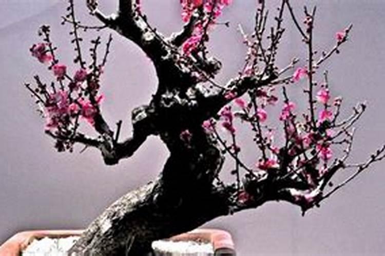 池塘施肥的方法