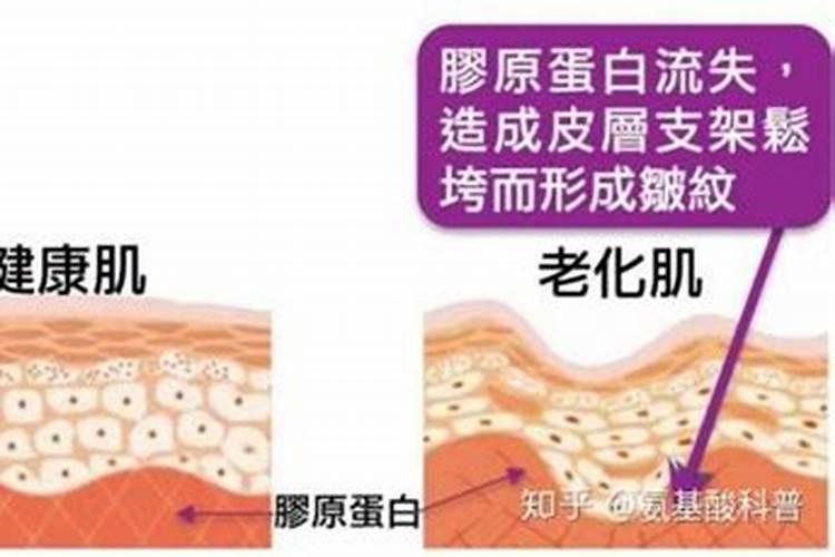 龙年开科技公司如何取名最旺 科技行业公司取名