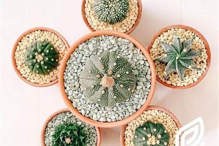 果树全年都使用水溶肥可以吗