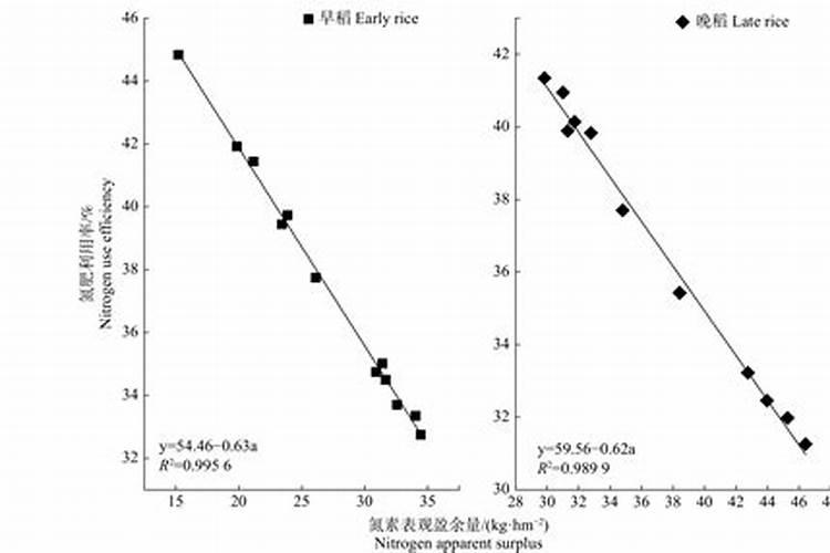 百农1316优缺点分析