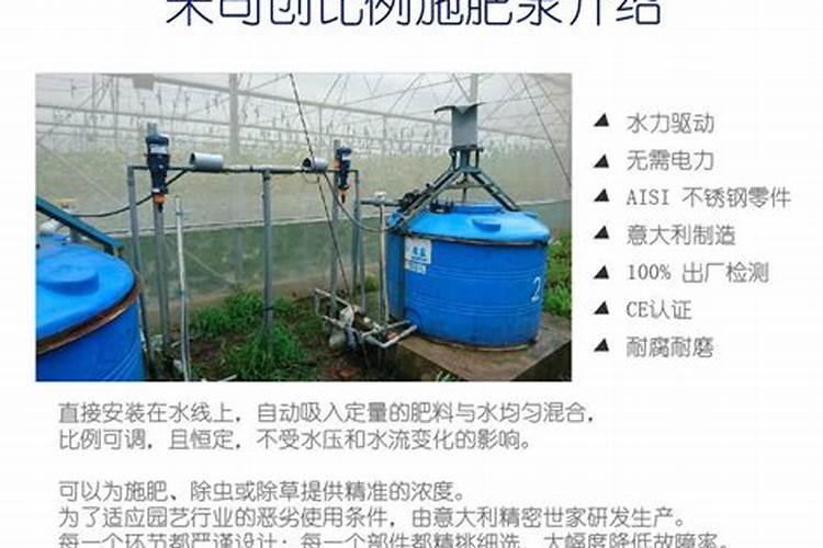 钙镁磷肥可以直接放在幼苗根部吗？