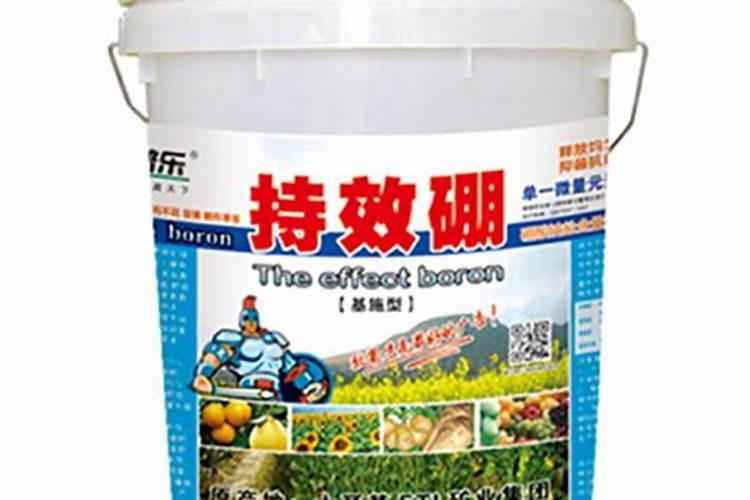 太阳花施什么肥比较好,主要以磷肥为主