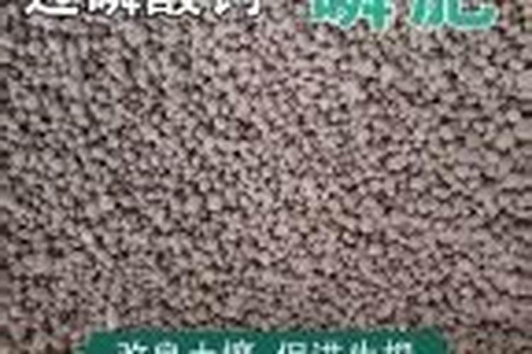 我家的果树(杏树)上长了虫子,很像瓢虫没有斑点深棕色,很光滑。如何消灭...