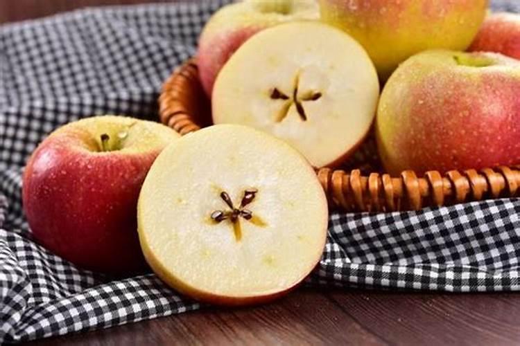 蟹爪兰烂根怎么办