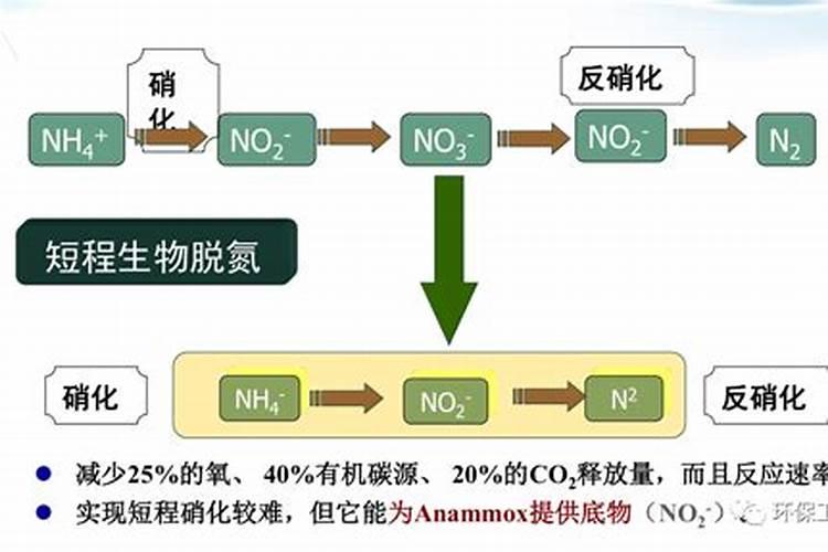 柑橘树施肥以后树叶卷了是什么原因？