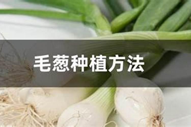 果树用硫酸钾与氯化钾哪个好