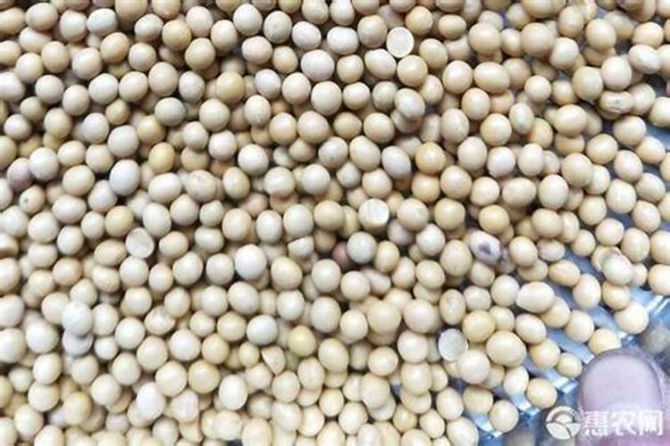 小葱出苗后打什么除草剂