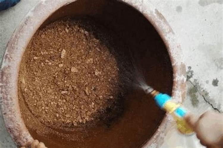 果树挂果期需要用哪种肥料？果树保花保果用什么肥料？