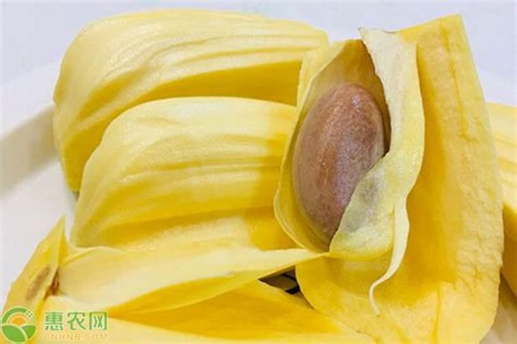 氮肥是什么做的