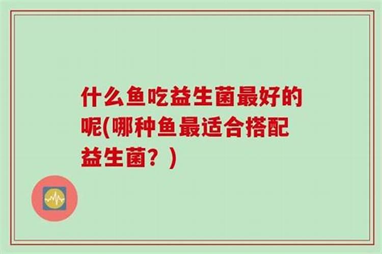 鱼蛋白自制配方比例