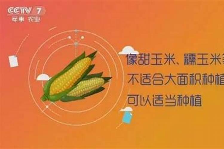 氨基酸、多肽、鱼蛋白:农业肥料界的 “三兄弟” 谁更牛？
