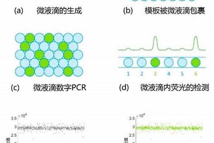 桃树彭果肥什么时候施肥