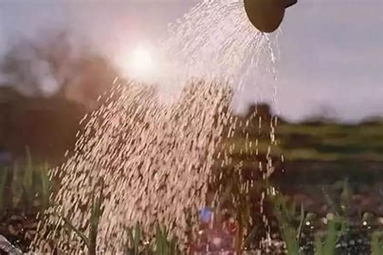 水溶肥的TE和ME区别