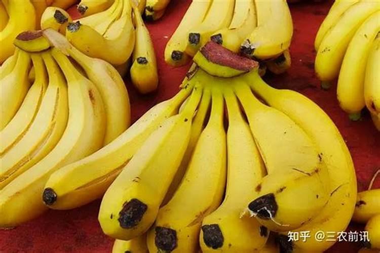 定植樱桃树施肥正确方法