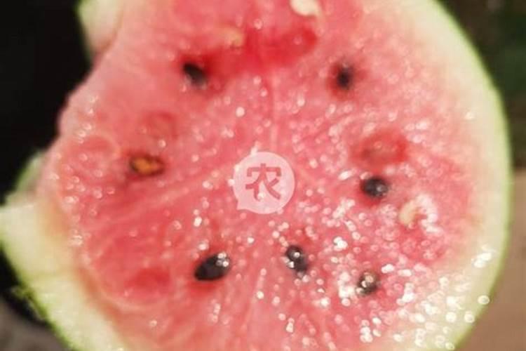 做肥料的蛋壳用生的还是熟的