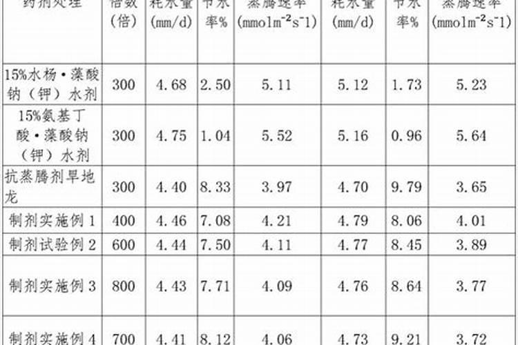 雨后高温玉米顶部叶片干枯