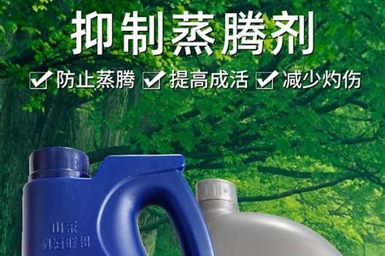 叶面肥在玉米多高的时候喷好？10多厘米高时可以喷吗？