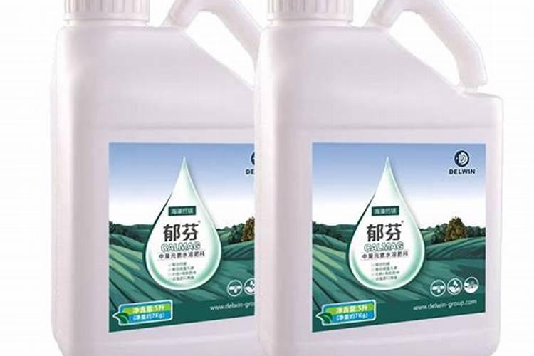 养君子兰,定期浇“营养液”,蹭蹭长新叶,油绿有光泽,你知道吗？