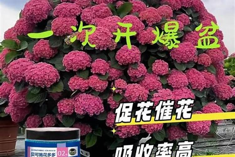 ...比较氮肥(氯化铵,碳酸氢铵)磷肥(磷矿粉,过磷酸钙)在线等