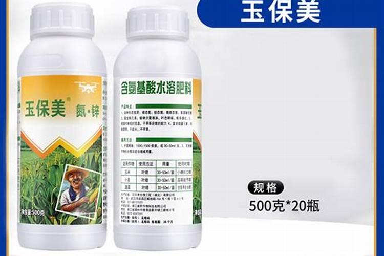 月季爆盆用什么方法 月季爆盆的好办法