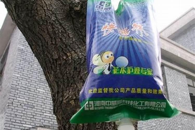 葡萄施什么肥最好