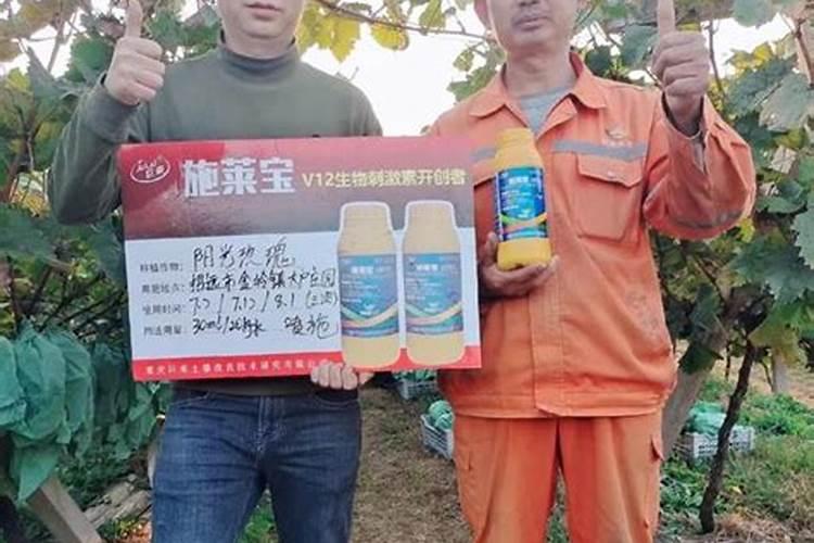 磷酸二氢钾喷玉米,加尿素好还是加液态氮肥好