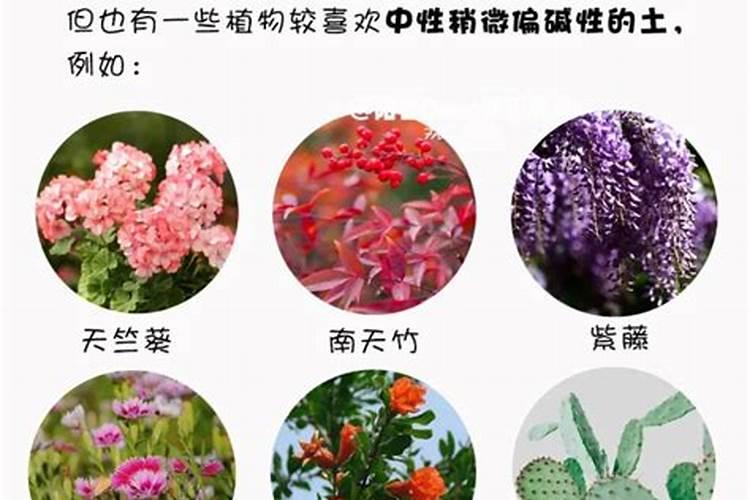 腐植酸与尿素能混合比例