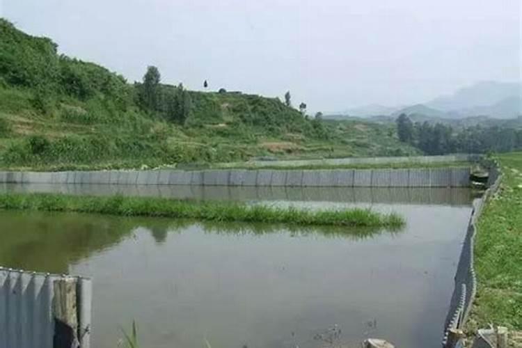 甲霜灵锰锌的使用方法