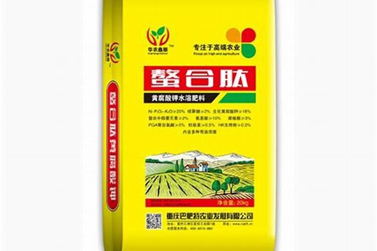 黄腐酸钾水溶肥如何使用？有什么作用？