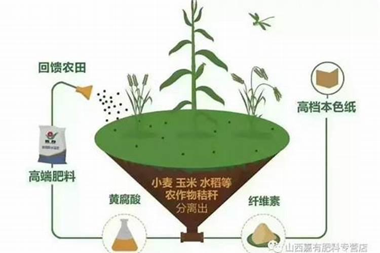 自制腐殖酸肥料