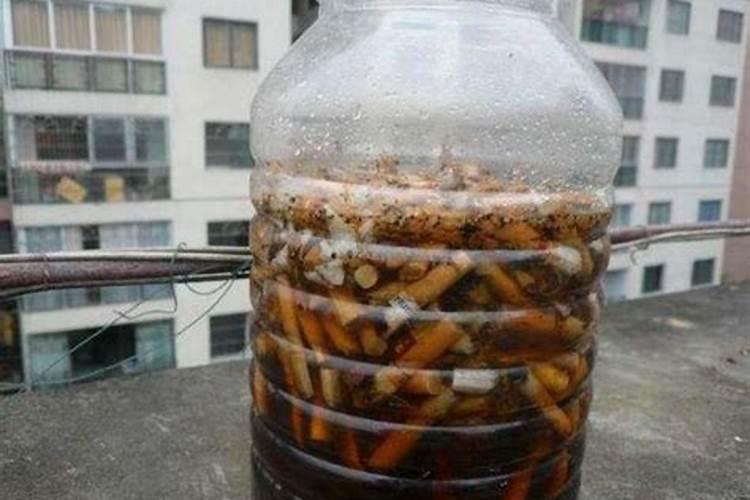 吡唑醚菌酯能与农药混用吗