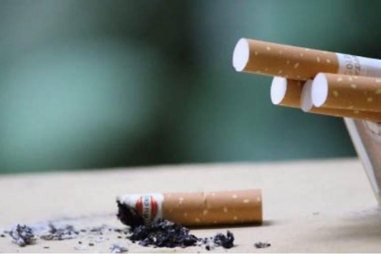 吡唑醚菌酯能与农药混用吗