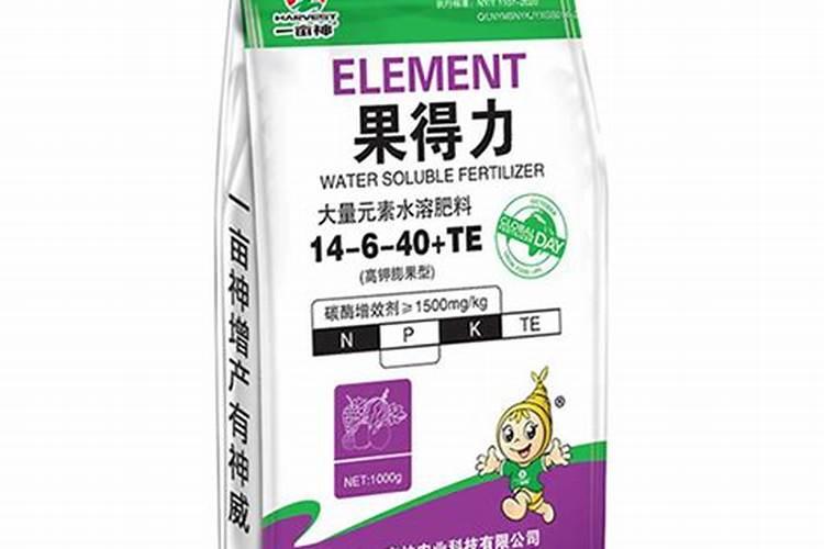 蟹爪兰花芽时如何上肥