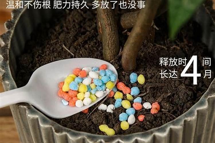 植物油可以做肥料吗