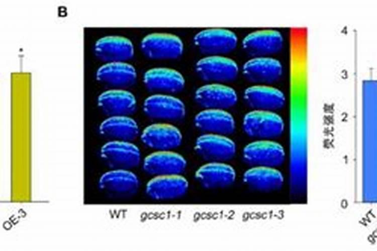 钙肥怎么改良土壤酸性