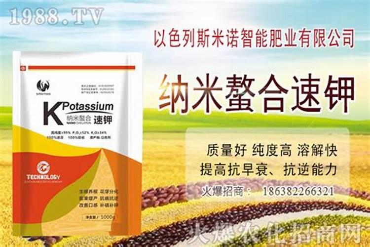 移栽桔树已两个月主杆还是青的为什么不发芽长叶,有办法吗？