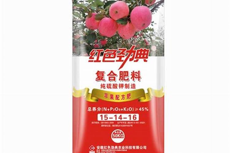 玉米常见病有哪些