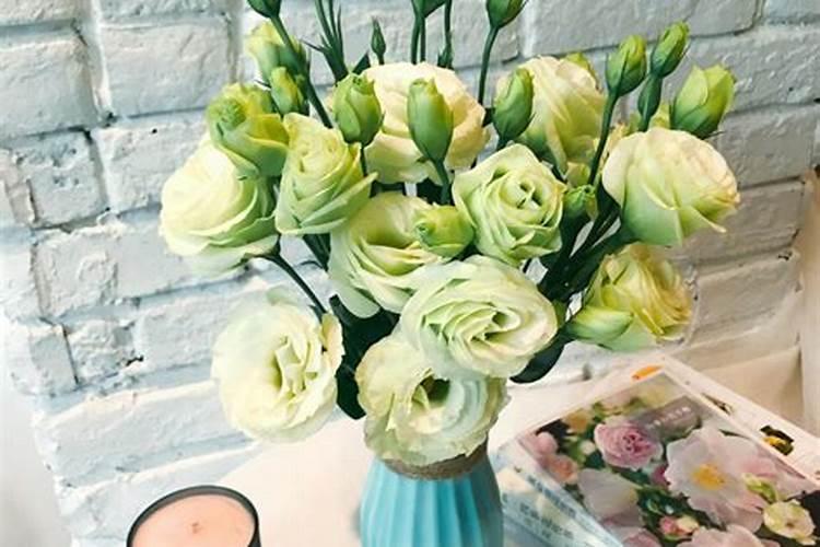 洋桔梗的种植与养护