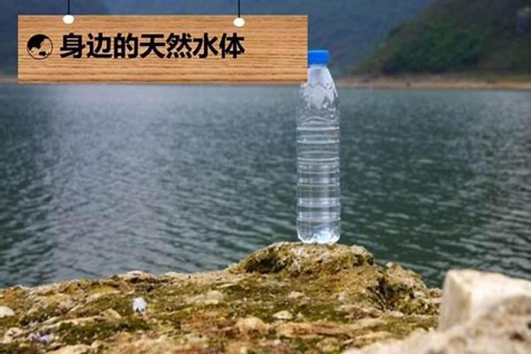 花肥一般用什么肥料