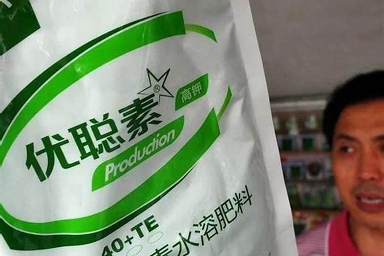 兰花要施什么肥料好