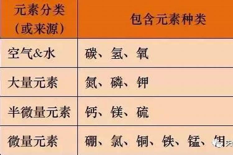 桉树用什么肥料最好