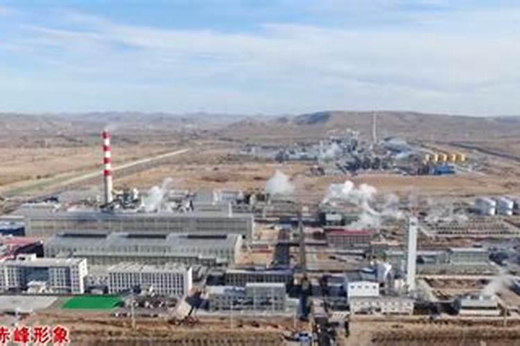 水培植物的叶子为什么发蔫