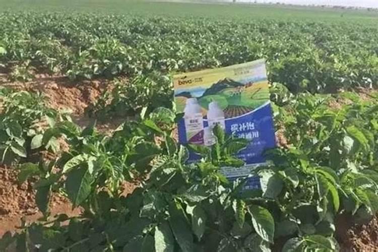 施倍多水溶性化成肥料能叶面喷雾吗？