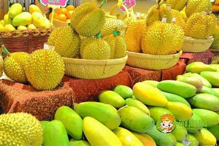 玉树夏季要4个喜好,顺着养更漂亮,是哪4个喜好呢？