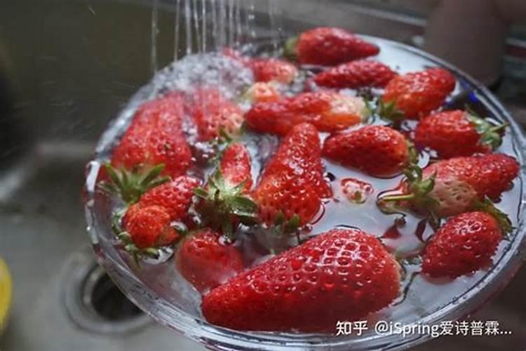 草莓果个小、膨果慢？这三点很关键