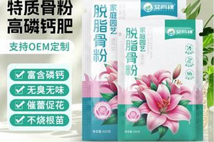 金狐狸长寿花一年开几次花花卉百科