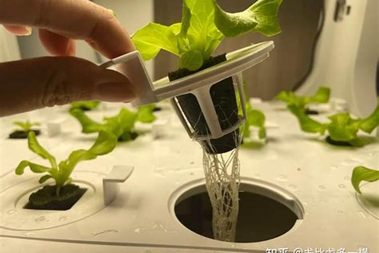 水溶肥好还是复合肥好