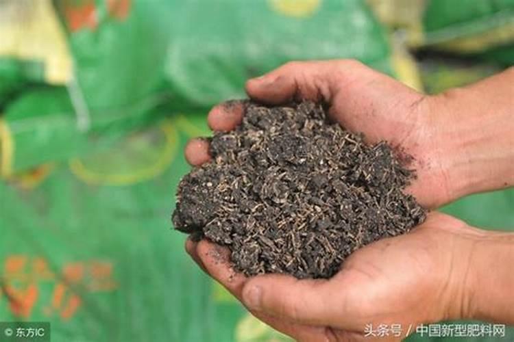 钙肥的作用及施用方法